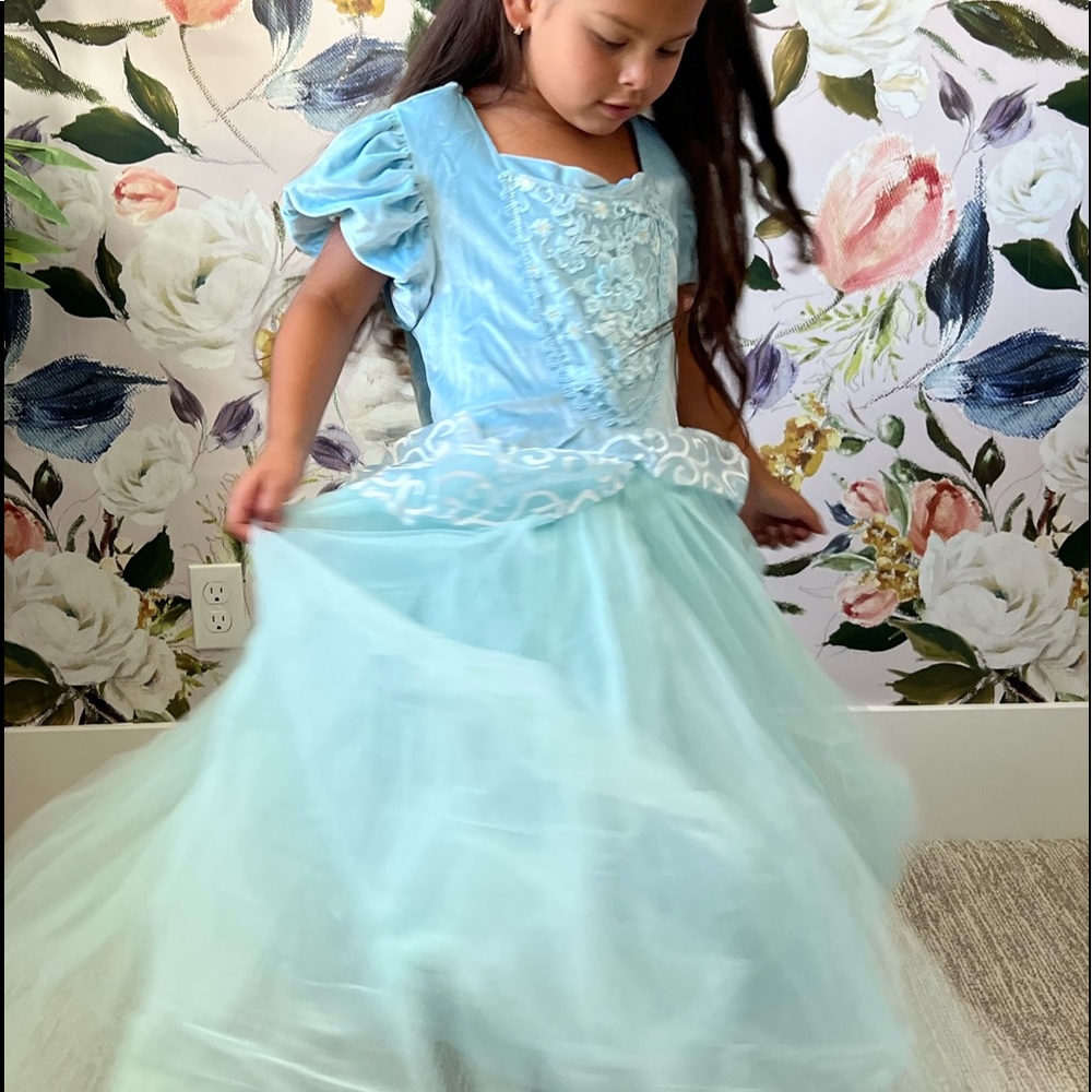 Princess Costume (Cinderella) 🆕